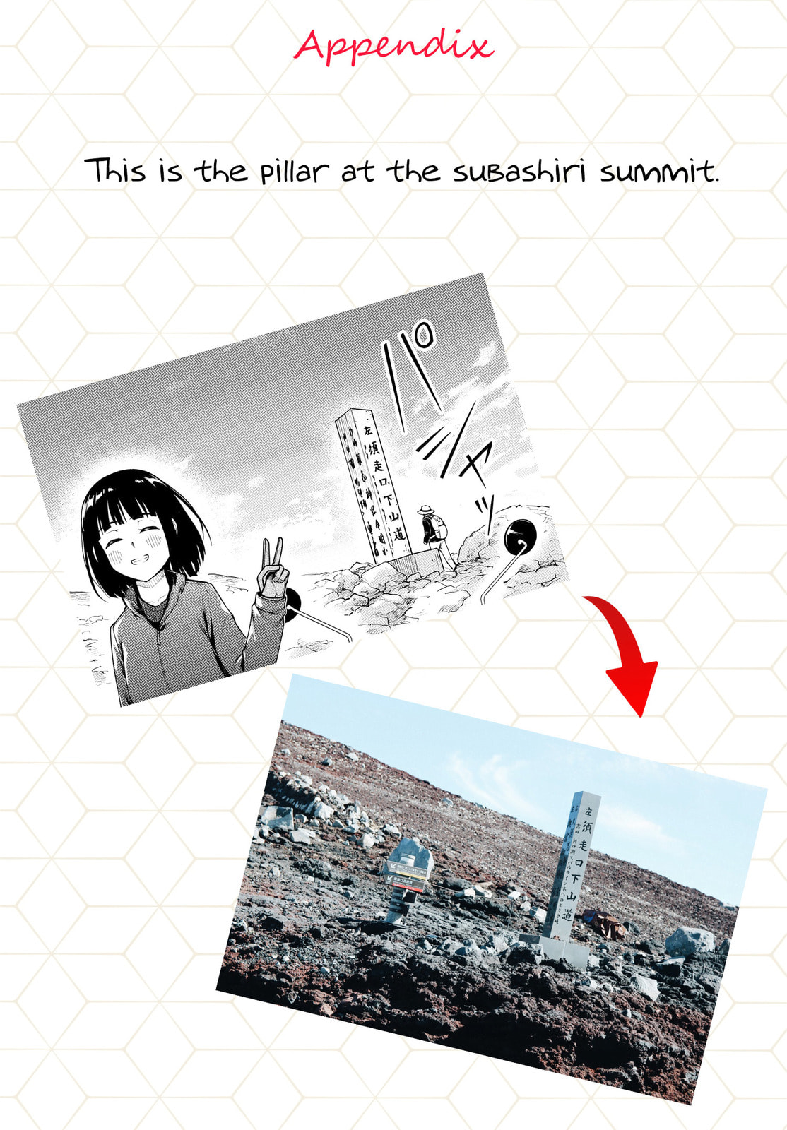 The Future with Cubs page 30
