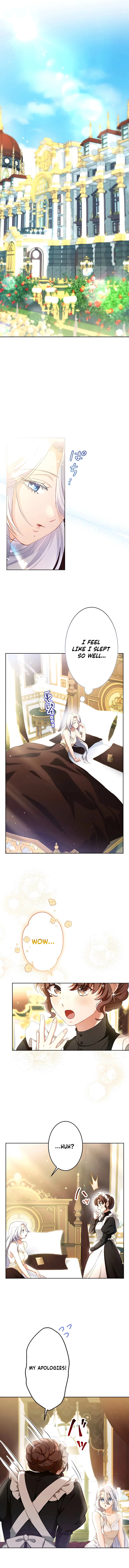 She is Obsessed with the Possessive Flame Emperor – Chapter 5 page 5