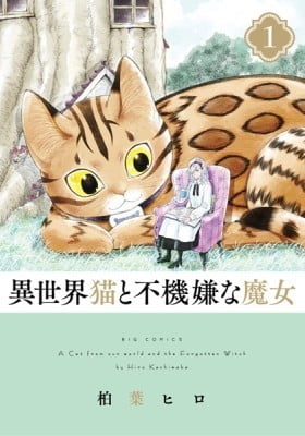 A Cat from Our World and the Forgotten Witch